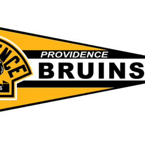 Providence Bruins pennant logo