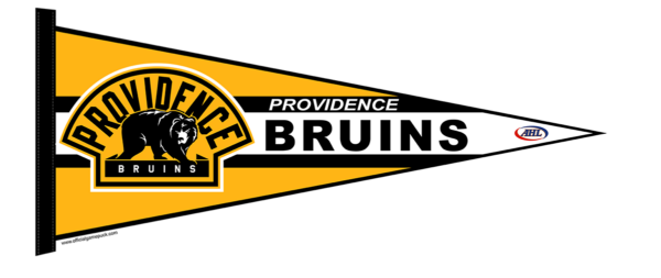 Providence Bruins pennant logo