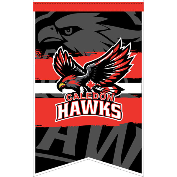 15” x 24” Custom Spearhead Pennants - Image 12