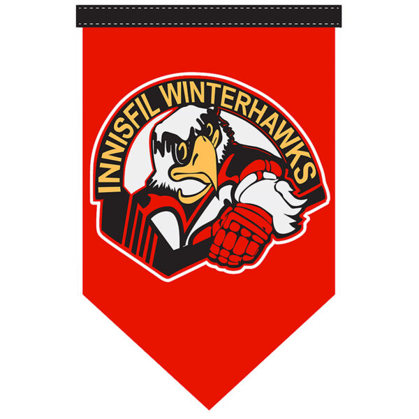 15” x 24” Custom Spearhead Pennants - Image 6