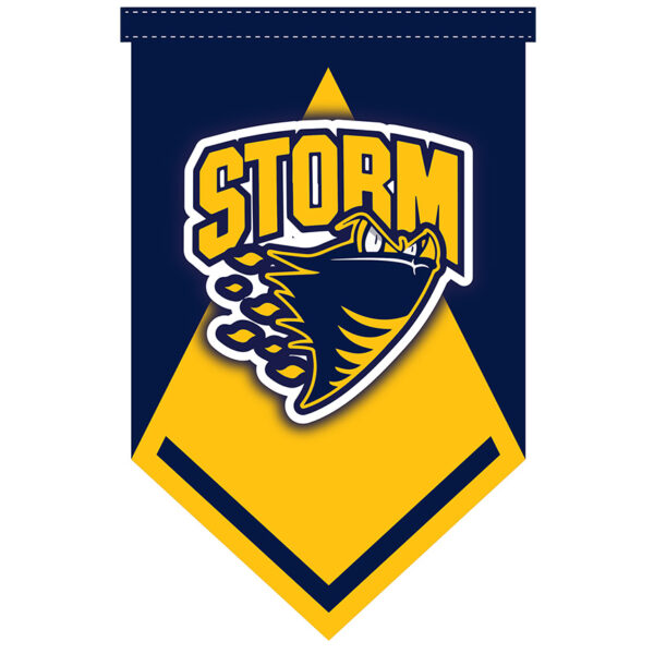 15” x 24” Custom Spearhead Pennants - Image 5