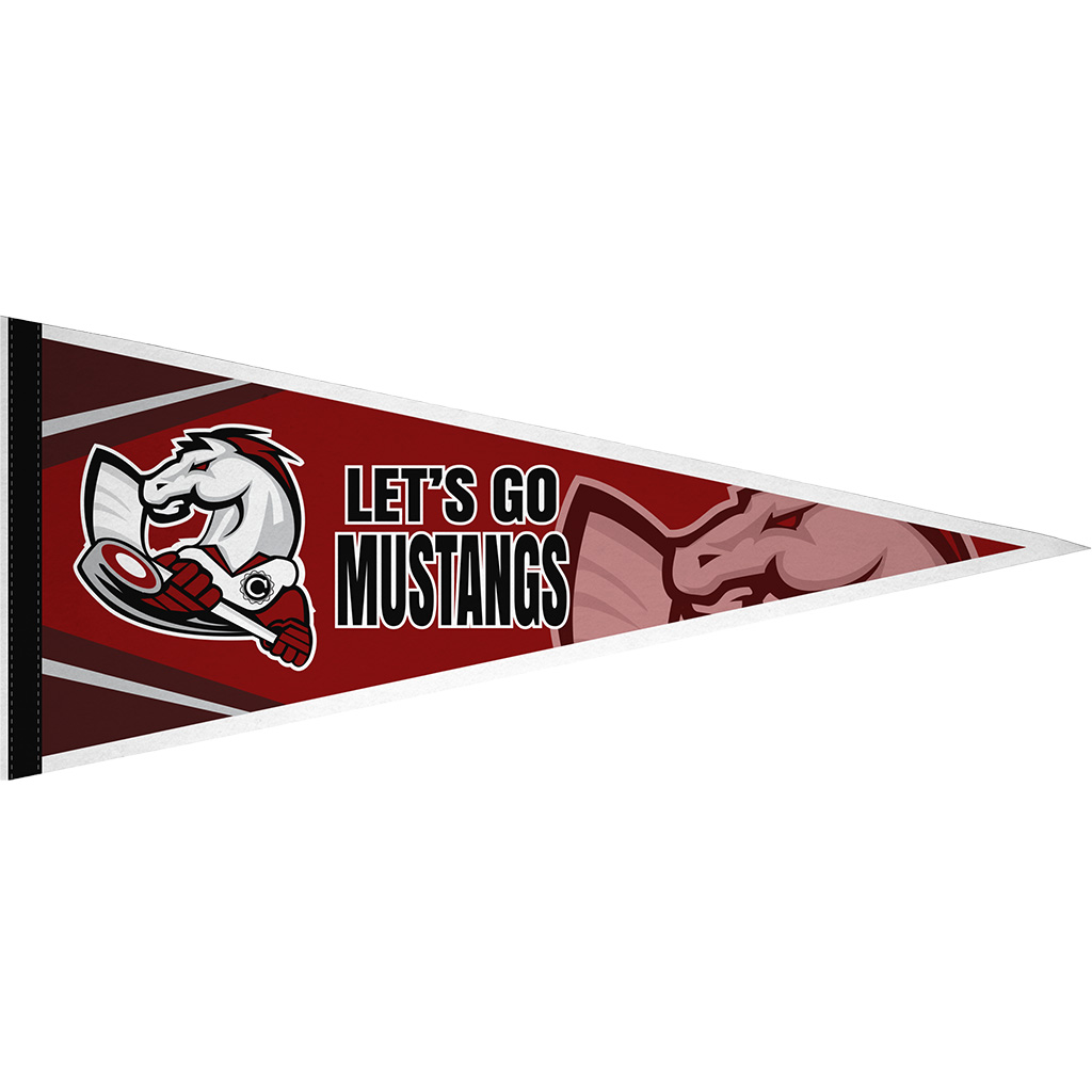 Mega Pennant - Image 2